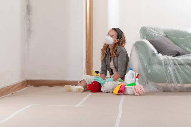 24/7 Emergency Mold Remediation experts in USA
